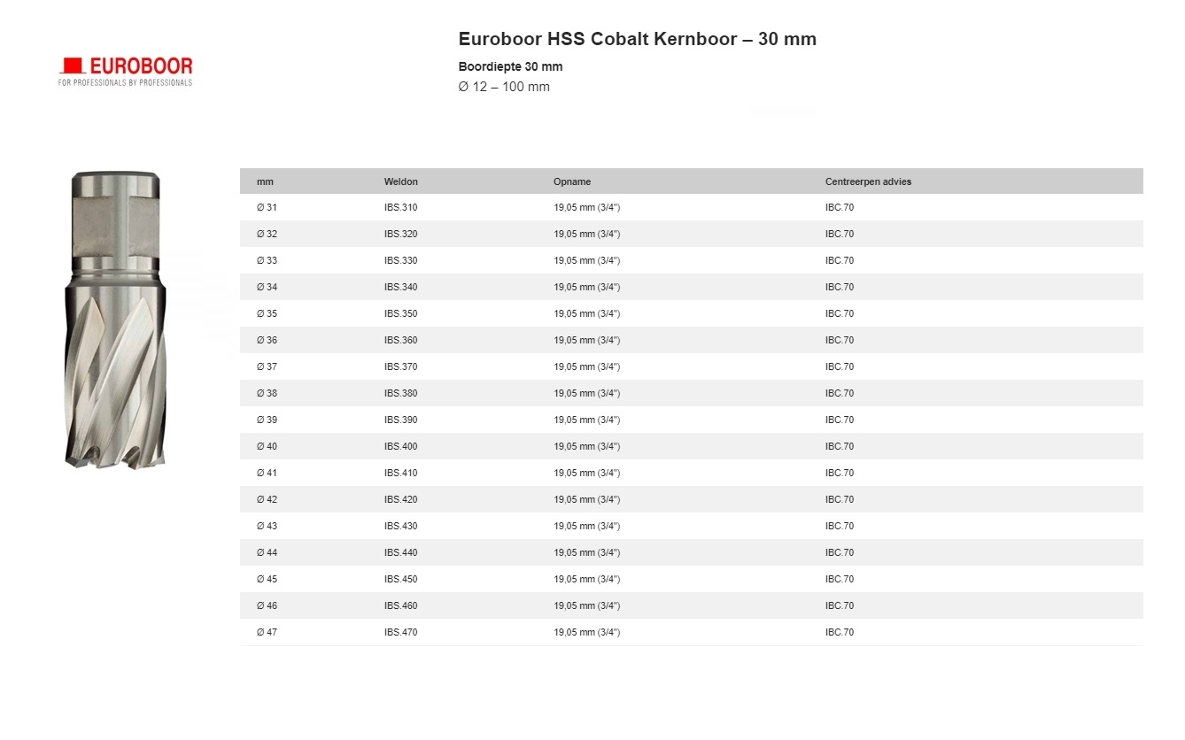 Kernboor HSS-Co M42 Ø 31 mm x 30 mm IBS.310